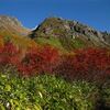 今シーズン最後！？・・・紅葉の焼岳