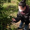 研修旅行 in 耕三寺・和光観光オレンジ園　その3（第2便：和光観光オレンジ園～帰路編）