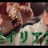 佐賀観光のYouTubeです。