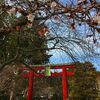 塩竈神社で刀剣展やってます