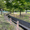 ロケハン 歌の森運動公園！