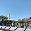 (巻四十四) なるようになると思えば露涼し(高橋とも子)