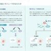 最後のTC療法と今後の治療とちょっとお休み【TC療法第６回投与・２日目】