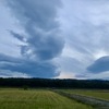 灰色の鯨みたいな雲