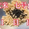 整う？玄米断食 の巻(1日目)