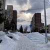 北海道で驚いた①ドラゴンフルーツみたいな雪道