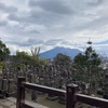 鹿児島旅行の感想①〜西郷さん好きの祖父と一緒に〜