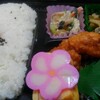 熊本滞在記2017冬　25日目〜27日目