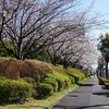 2021/03/23 サクラ2021 01 新木場駅前/飯田橋駅前/靖国神社/千鳥ヶ淵/北の丸公園/靖国通り/外濠公園