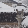 春の雪。