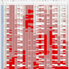 新型コロナウイルス、国別・人口あたり新規感染者数（1月5日現在） /  COVID-19 cases per population by country, as of January 5, 2022