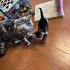 同じ方向を向いていないと難しい。
