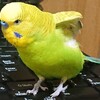 ５月１３日の相場を見てみたよ　チュン