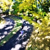 サイクリング日和