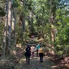 ぶらり和歌山　本編