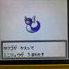 色違いポケモン紹介 Vc産パラス 自由に生きてあそblog
