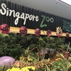 "リアル"に見て、触れて、楽しむ、週末シンガポール旅行！