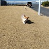 ええんかい？？