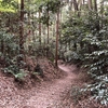 茅ヶ崎里山公園