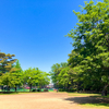 【写真盛り沢山】緑に包まれる石神井松の風文化公園の魅力をビジュアルで徹底解説！🌳📷