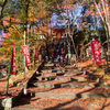 京都の紅葉2014・毘沙門堂の敷紅葉