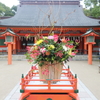 福岡のパワースポット⁉︎  住吉神社にお参り