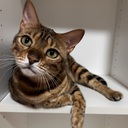 ぬる〜くゆる〜く