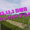 2023,12,3 日曜日 トラックバイアス予想 (中山競馬場、阪神競馬場、中京競馬場)