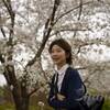 α7R4ポートレートTAMRON 70-180・肌寒いですが、上海植物園の東京桜はもう満開のようです。