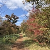 X（旧Twitter）のアカウント、作ってみました