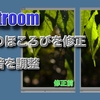 Lightroomで葉っぱのかけた部分の修正と画像の明暗の調整