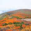 【宮城】紅葉の栗駒山日帰り登山（東栗駒コース入山／中央コース下山）