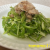 今夜のおかず！『無限ピーマンサラダ』を作ってみた！