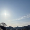 桜を見るだけのつもりが軽くハイキング