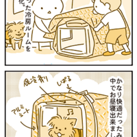 【犬漫画】琵琶湖のペット遊泳エリアに水遊びに行ってきました。