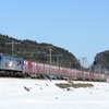 今日（１/２９）は、昨日の雪晴れの下で国宝機を・・・