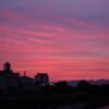 すんごい色の　夕焼けになったね～