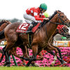 競馬初心者必見☆馬券予想🔥〜京王杯スプリングC〜ロードカナロア産駒が席巻する！