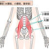 腸腰筋と腹斜筋に鍼打ちました