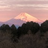 今朝の景色