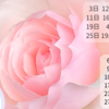 6月星模様/蟹座木星入り