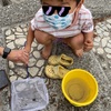 干潟の生き物に触れて海を感じよう〜干潟遊び＠重富海岸自然ふれあい館なぎさミュージアム〜