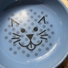 女子会：お猫さま皿