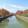 琵琶湖疏水の紅葉2025：見頃や色づき状況、混雑回避の方法！　