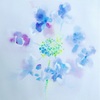 日々絵「紫陽花2 Hydrangea2」05.06.21