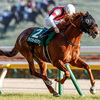 競馬初心者必見☆馬券予想🔥〜東京新聞杯〜マイル戦線の新たな主役誕生なるか！？