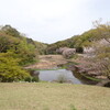 お花見延長戦