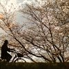 自転車修理