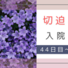 切迫早産で入院。33週4日 入院44日目～33週6日 入院46日目