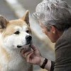 <span itemprop="headline">★【投票】第12弾「”犬”が登場するお気に入り映画」。ベスト”ワン”は？（笑）。</span>